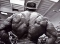 /album/fotogaleria/bodybuilder-7-jpg/